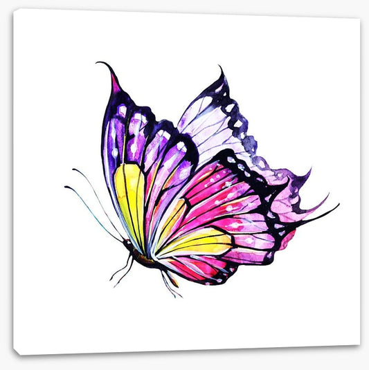 Violet flutter