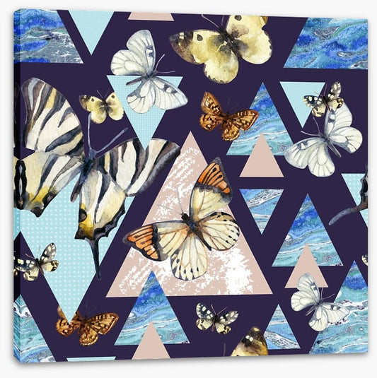 Flutter by night