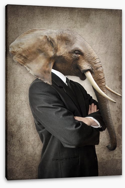 Tusk the leader