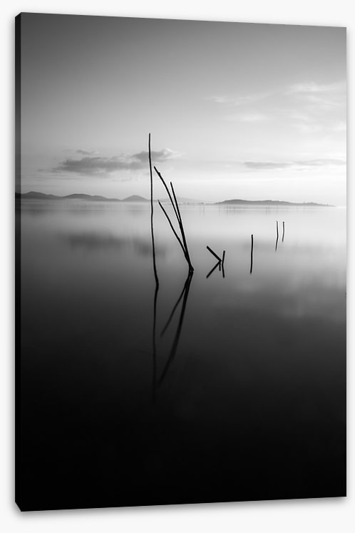 Still waters