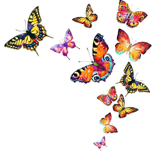 Butterflies
