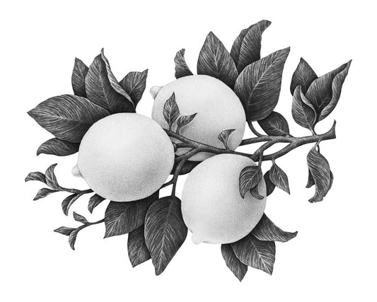Three lemons mono