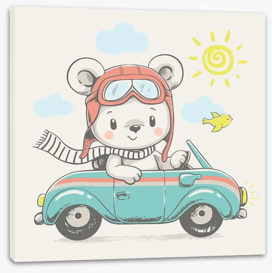 Sunny drive bear