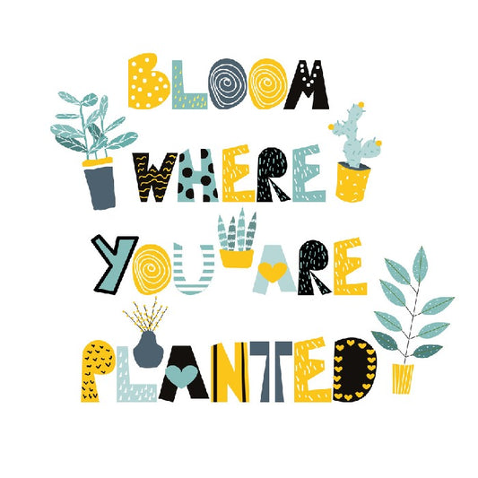Where you are planted