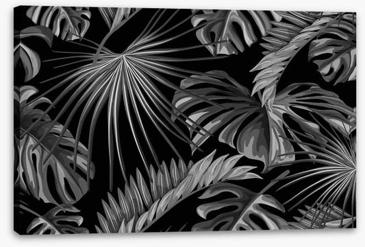 Jungle nights