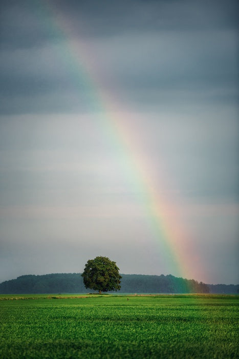 Rainbows