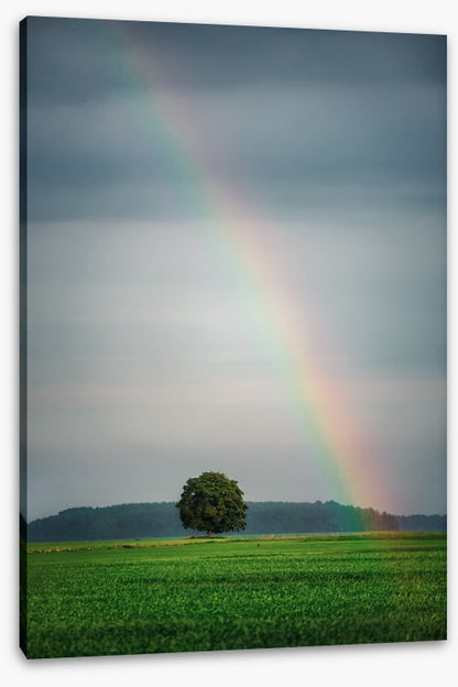 Rainbows