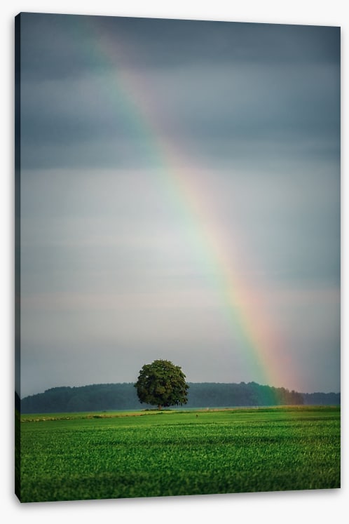 Rainbows