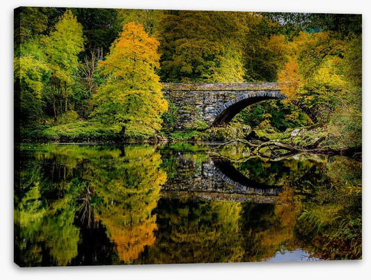 Reflecting on fall