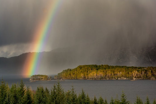 Rainbows