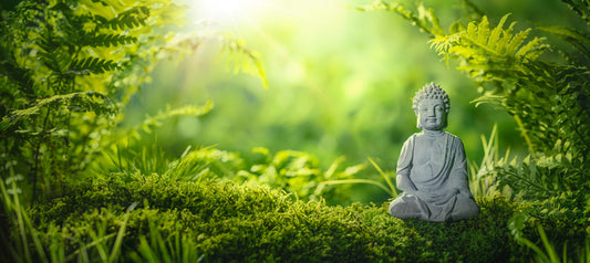 Meditation in the moss