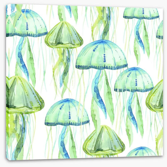 Jellyfish flotilla