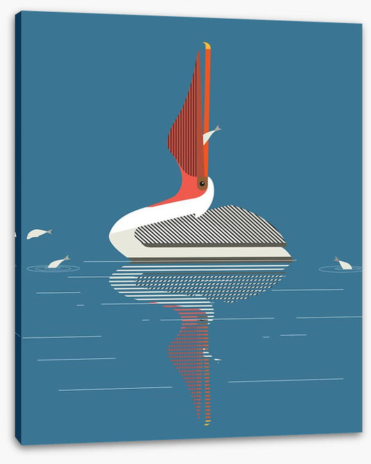 Pelican pleasure