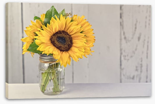Sunflower simplicity