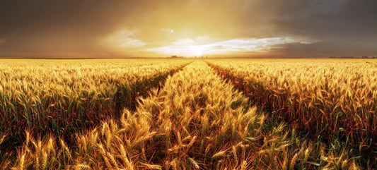 Agriculture