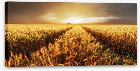Agriculture