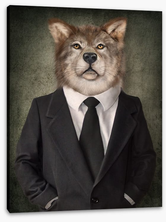 Wolf in man's clothing