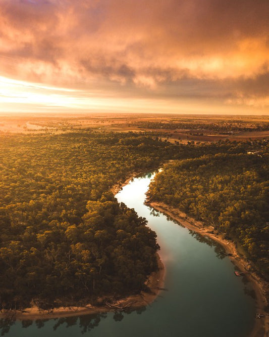 Murray river morning