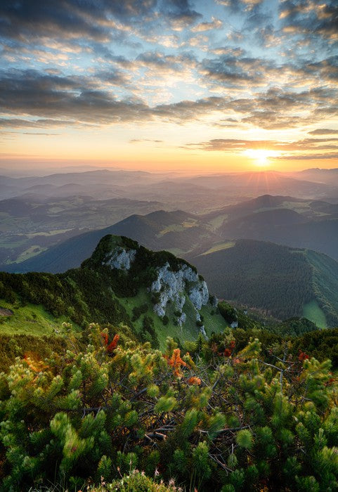 Summer summit