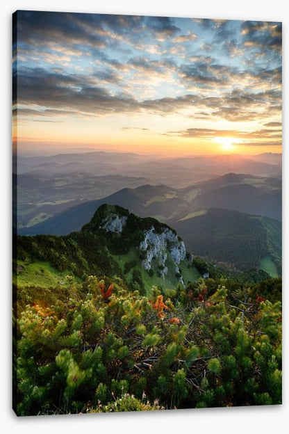 Summer summit