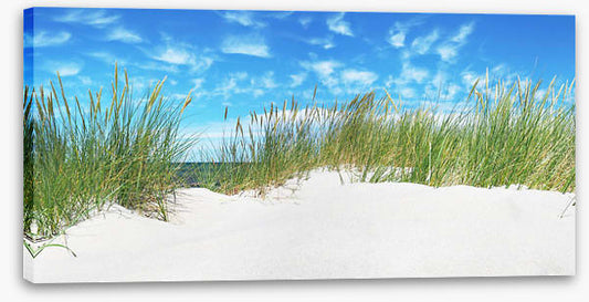 Green grass dunes