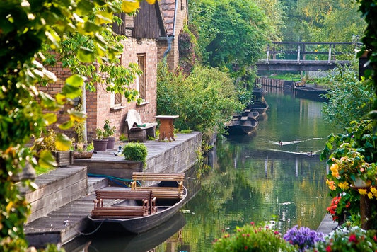 The river house