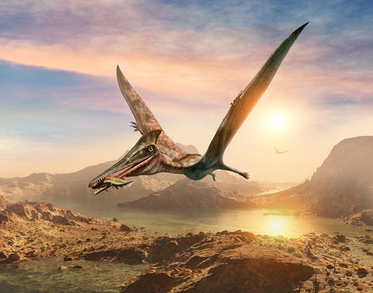 Dinosaurs