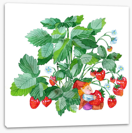 Fun Gardens