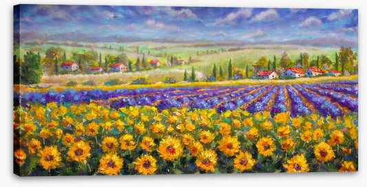 Meadows of Tuscany