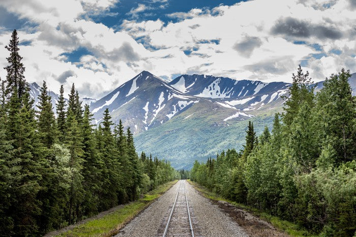 Into the wild