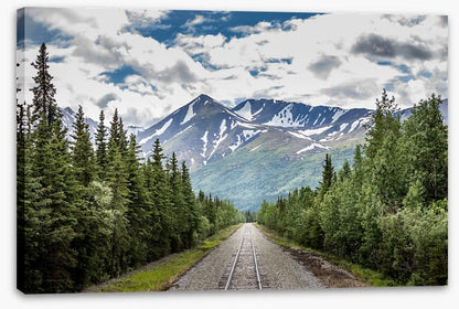 Into the wild