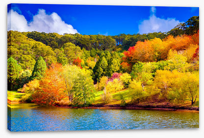 Adelaide Hills autumn