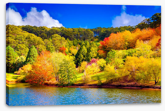 Adelaide Hills autumn