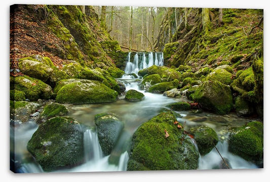 Over the moss