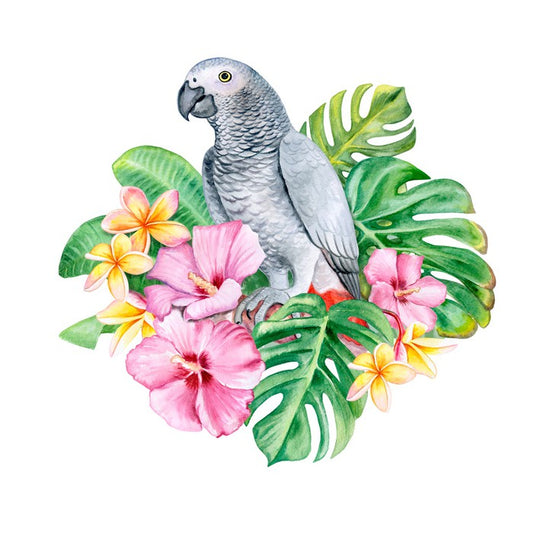 Parrot in the plumeria