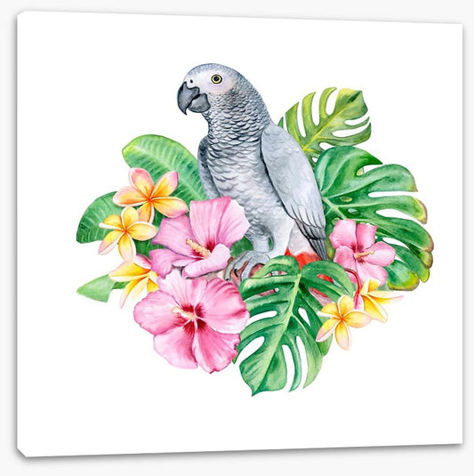 Parrot in the plumeria