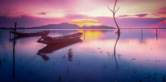 Gently into the night