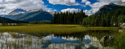 North America