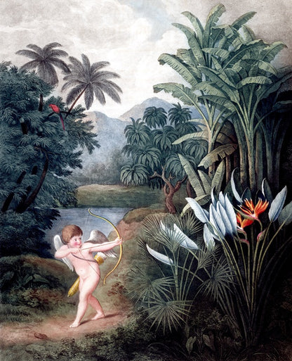 Cherub in the wilderness