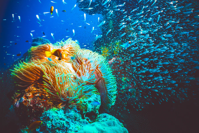 Underwater