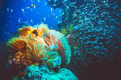 Underwater