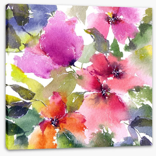 Blushing blooms