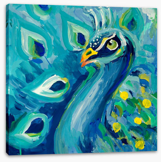 Proud as a peacock