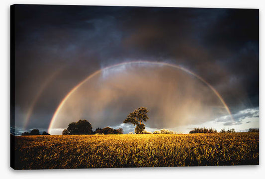Rainbow in the storm