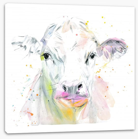 Missy moo