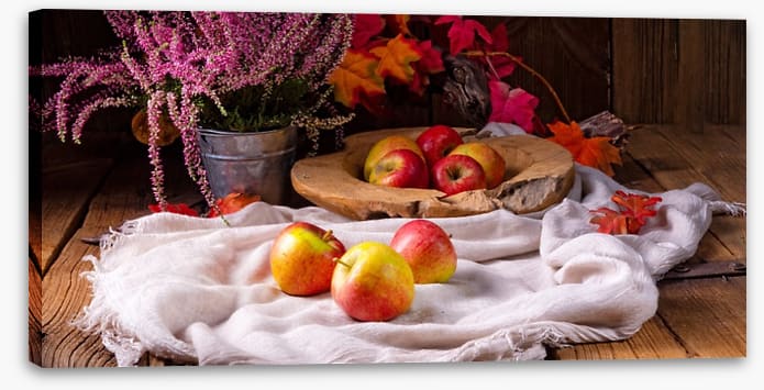 Still Life