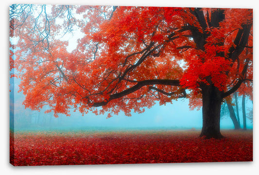 Maple tree mist