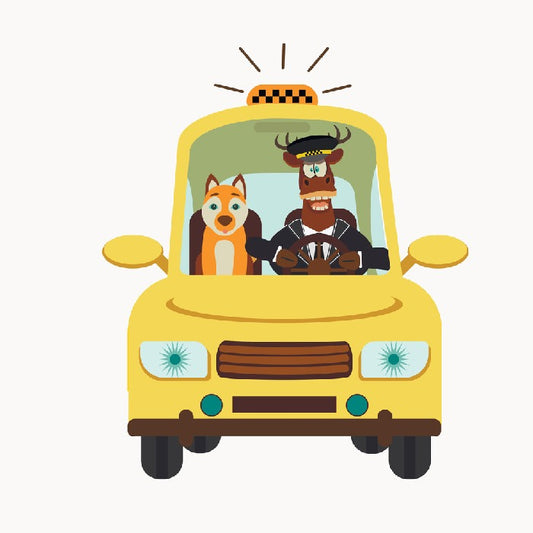 Transport