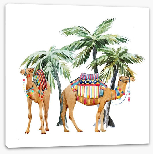 Date palm camels