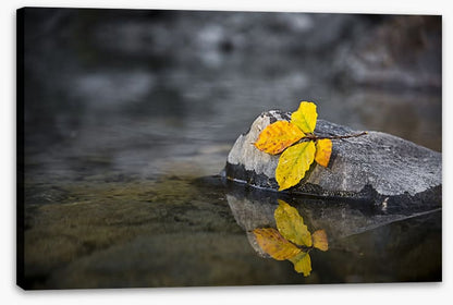Fall by the wayside